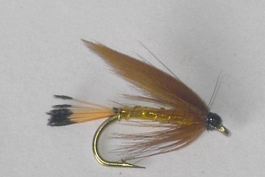 Cinnamon & gold wet fly