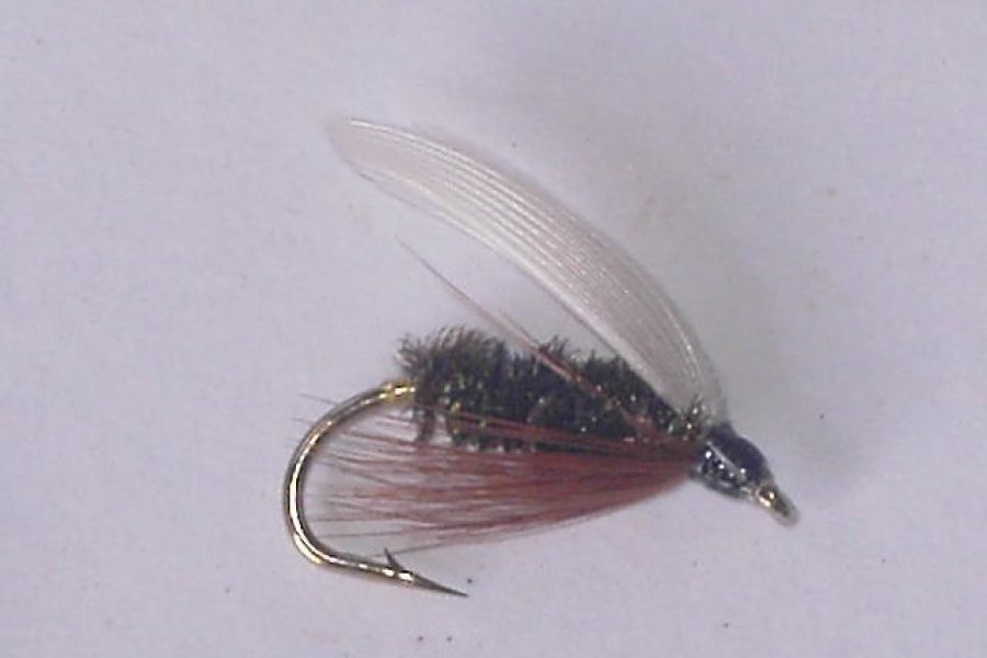 Coachman wet fly