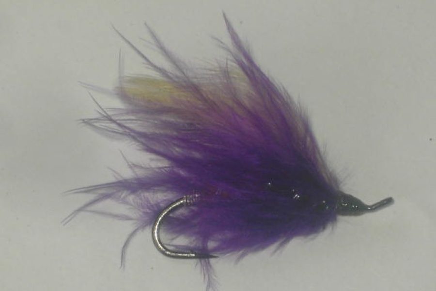 Freight Train spey fishing fly