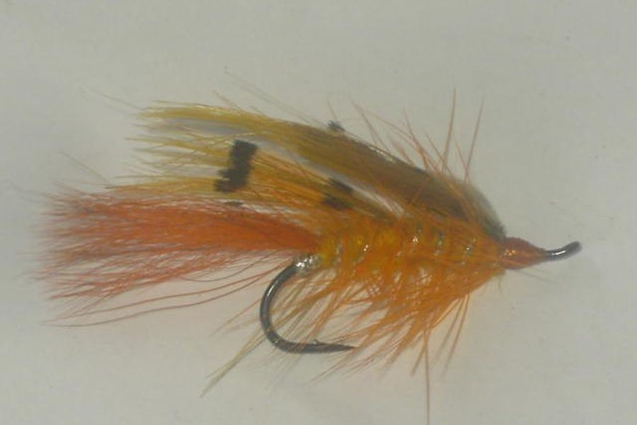 general practitioner salmon fly 