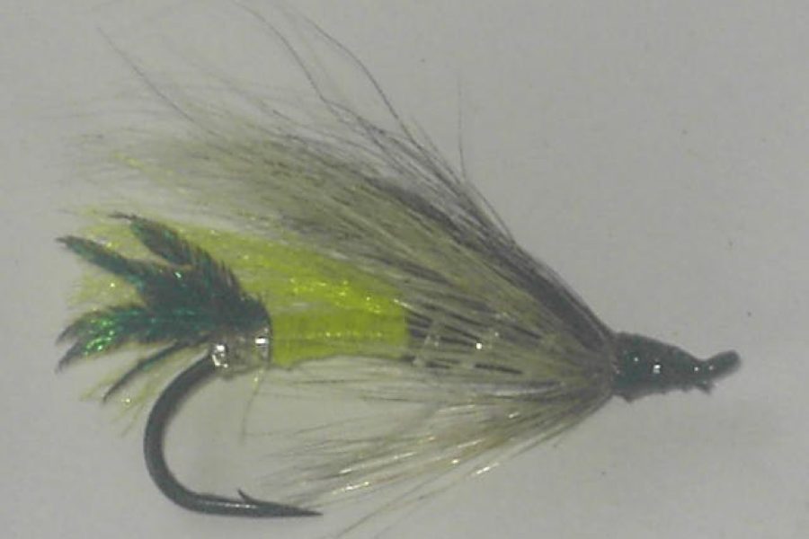 Jason’s  salmon fly