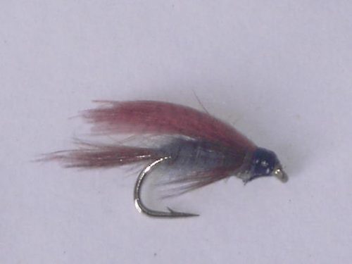 Dark cahill wet fly