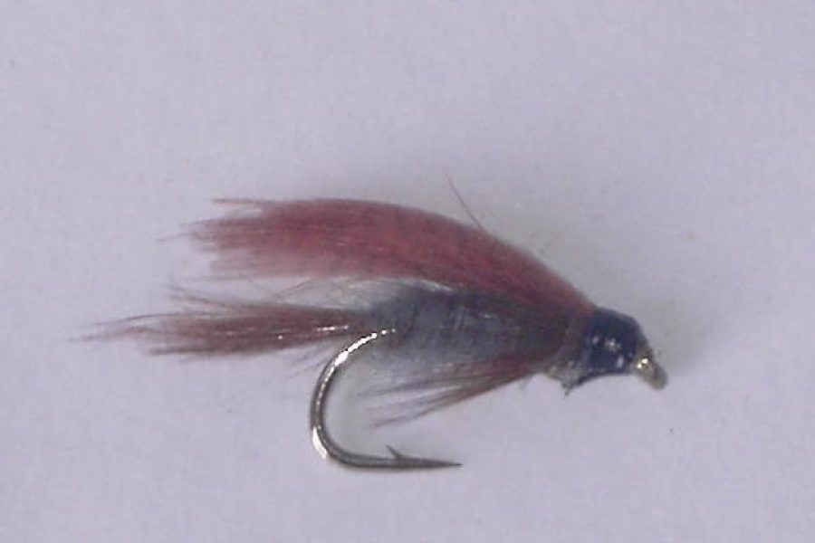 Dark cahill wet fly