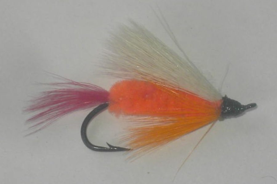 Polar Shrimp Fly