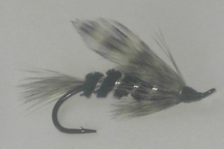 Silver Hilton fly