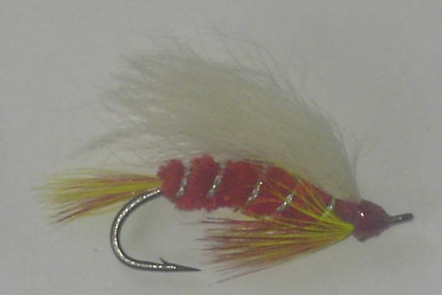 Skykomish sunrise fly