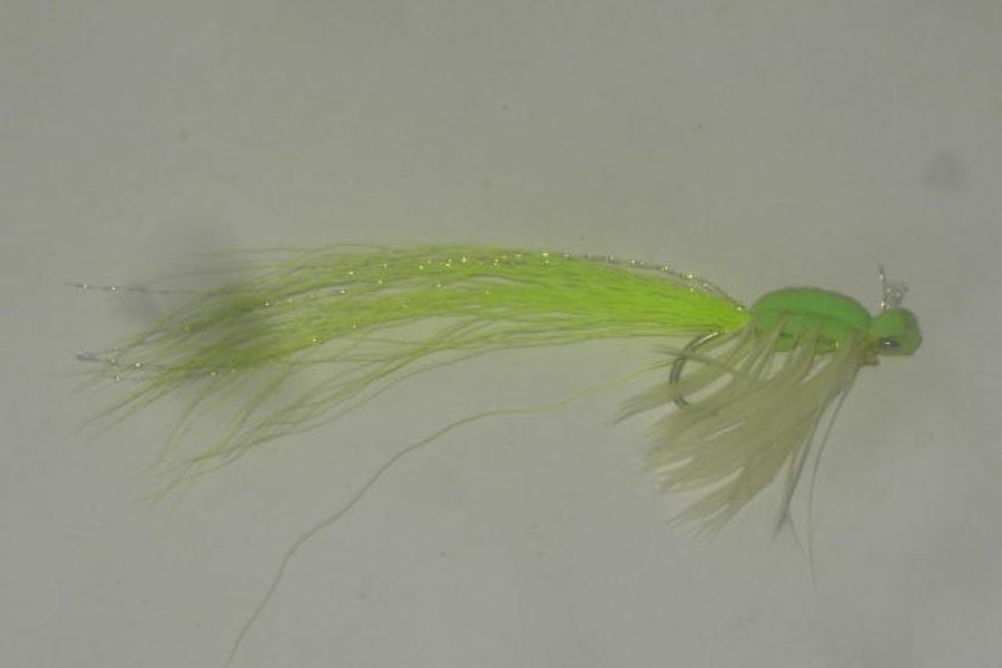 Gurgler chartreuse fly