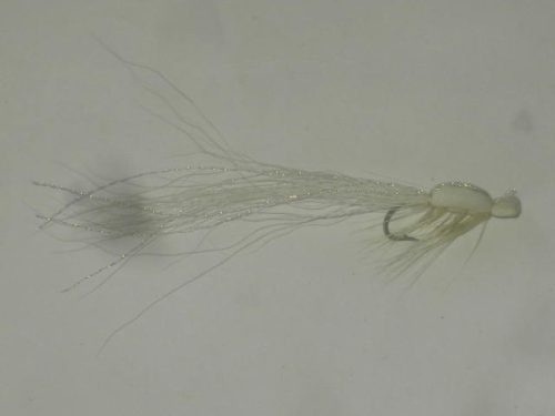 Gurgler white fly