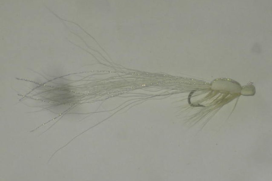 Gurgler white fly