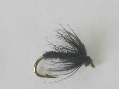 Leisenring Black Gnat wet fly