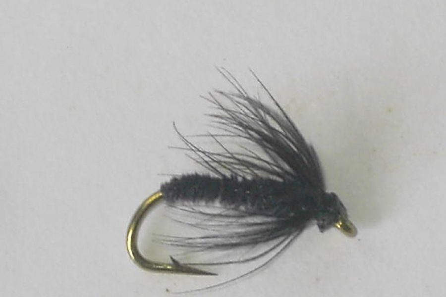 Leisenring Black Gnat wet fly