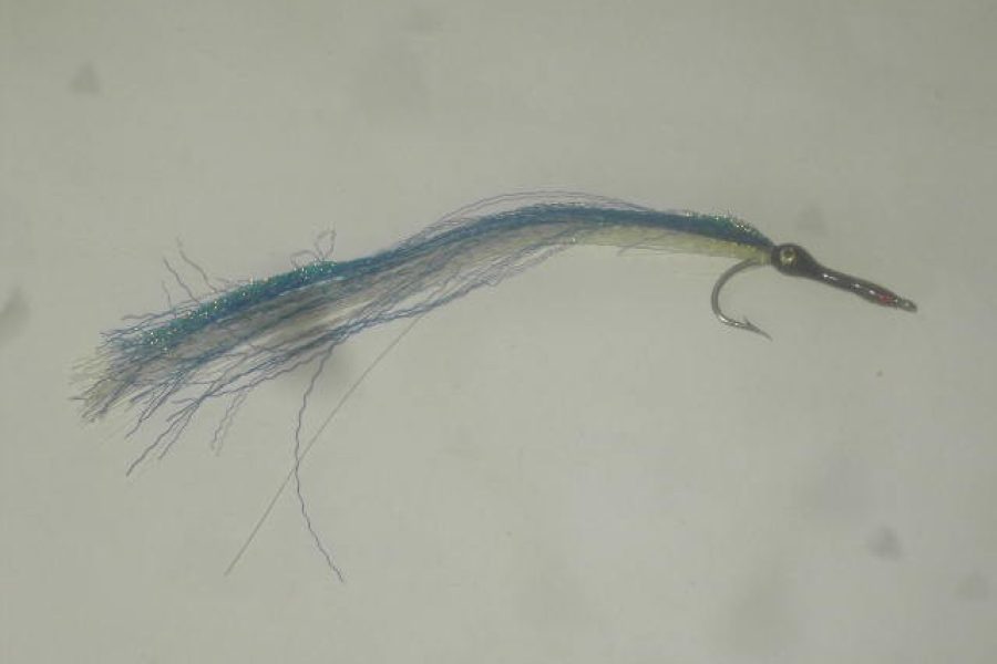 Needle fish blue white