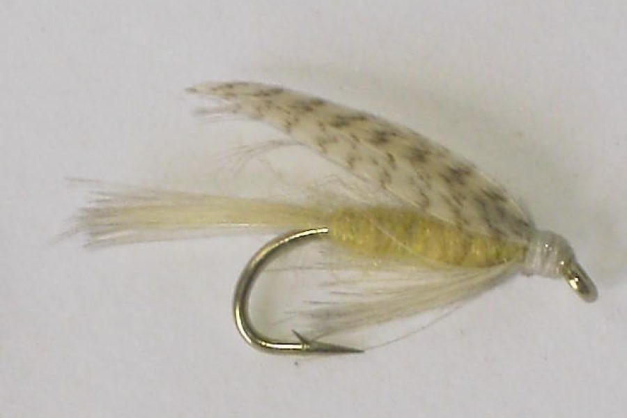 Light cahill wet fly