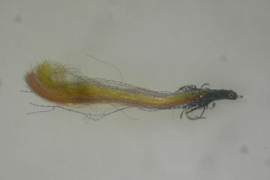 Saltwater swimmer black fly