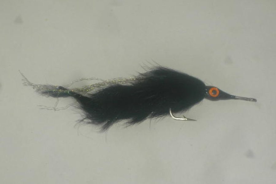 Sea Bunny Black Fly