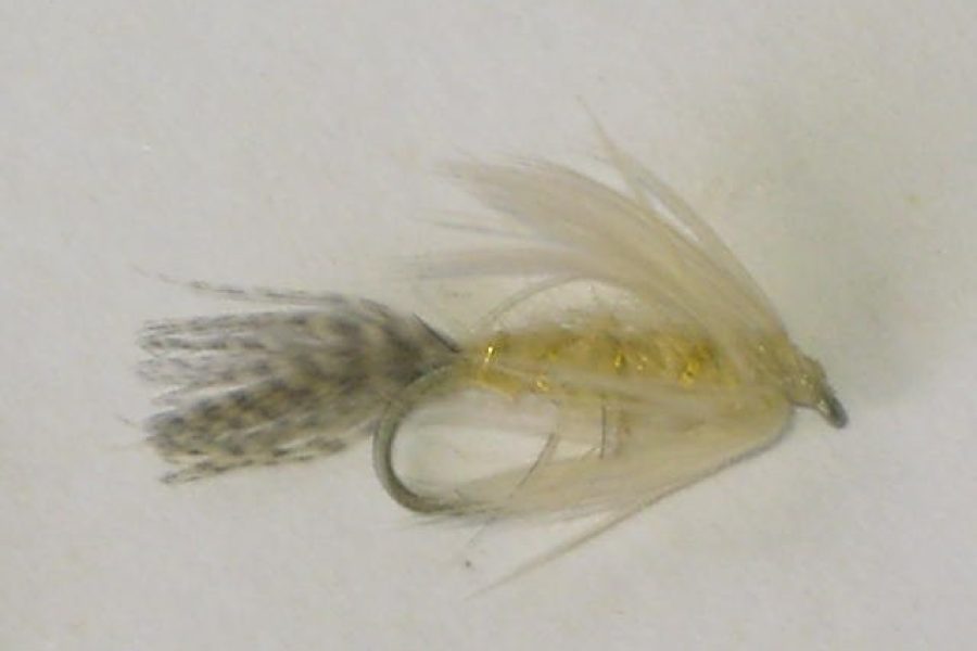 Mallard & cream wet fly