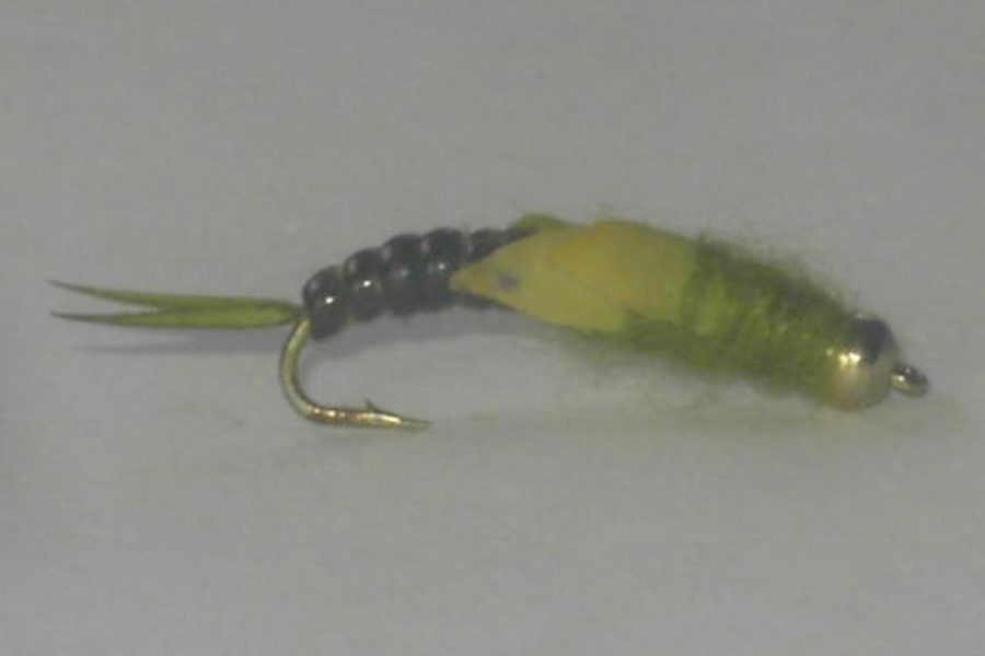 B.h stonefly olive