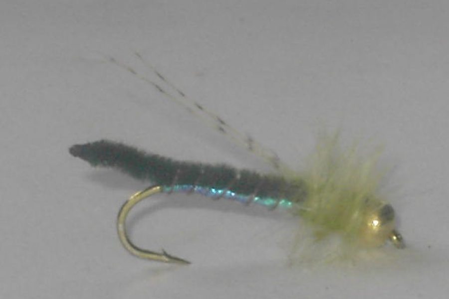 Beadhead Fox Poopah Olive fly