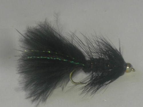 Beadhead Woolly Bugger Black fly