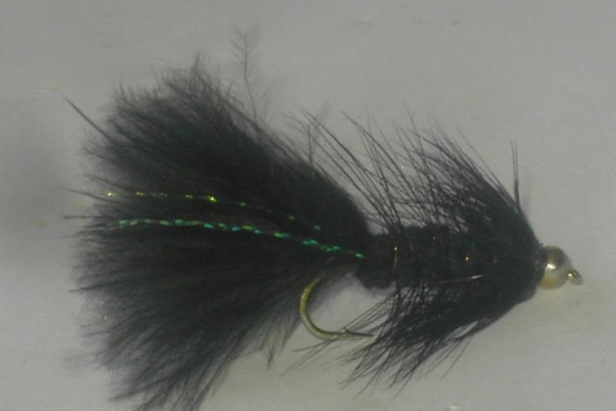 Beadhead Woolly Bugger Black fly