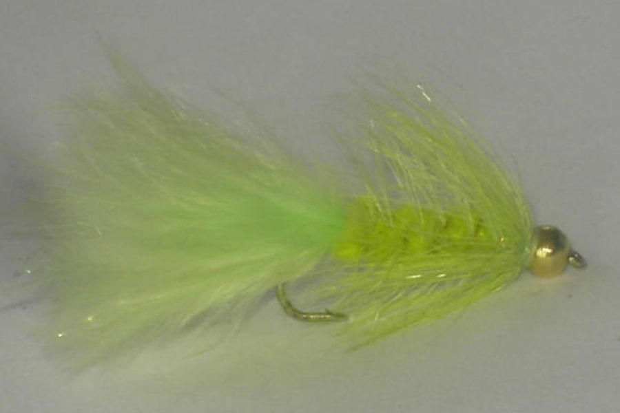 Beadhead Woolly Bugger  Fluorescent Green fly