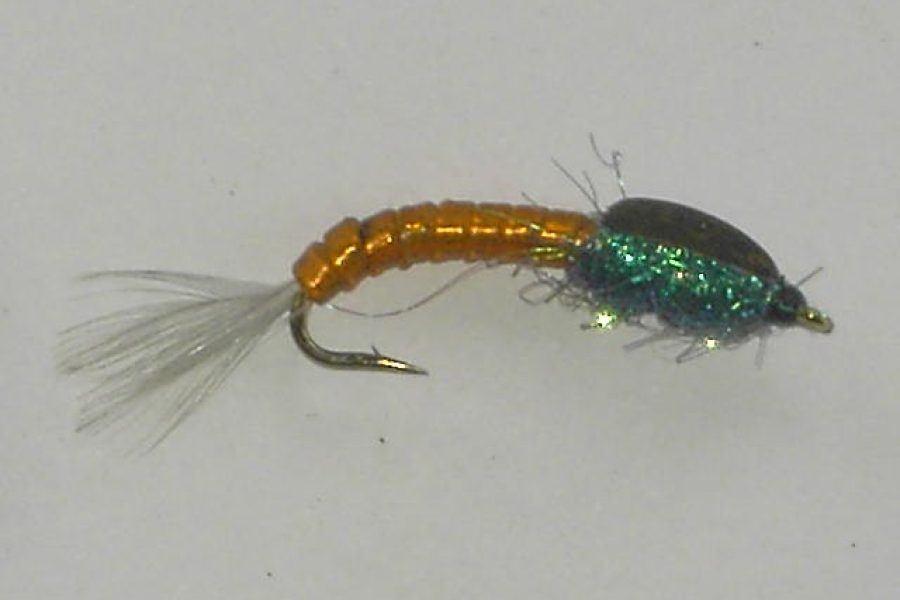 Orange heavy nymph