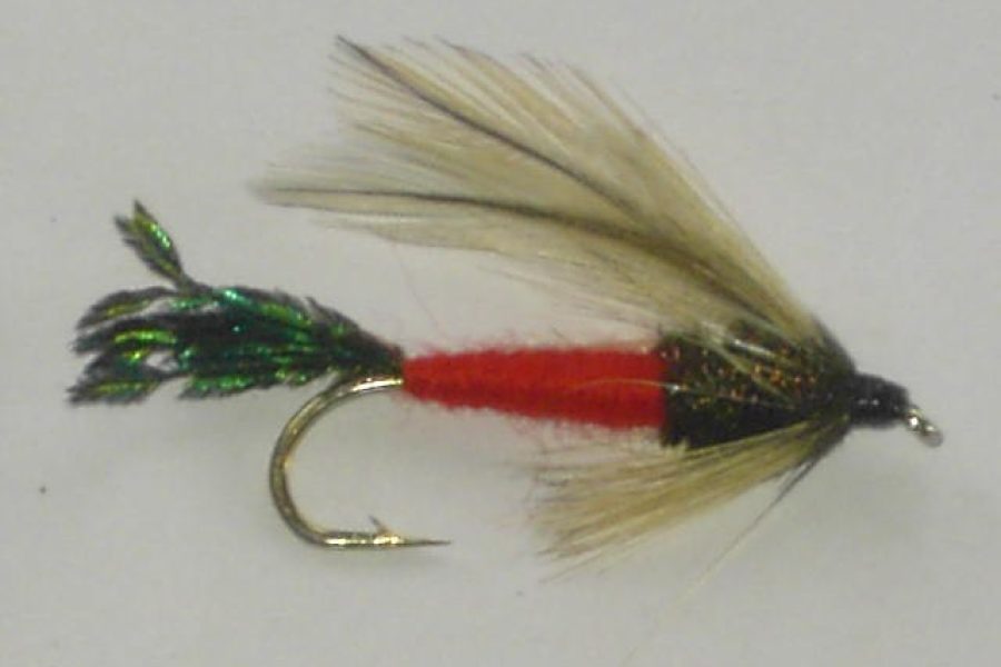 Spruce matuka fly