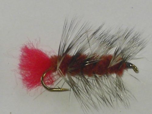 Woolly Worm Brown Fly