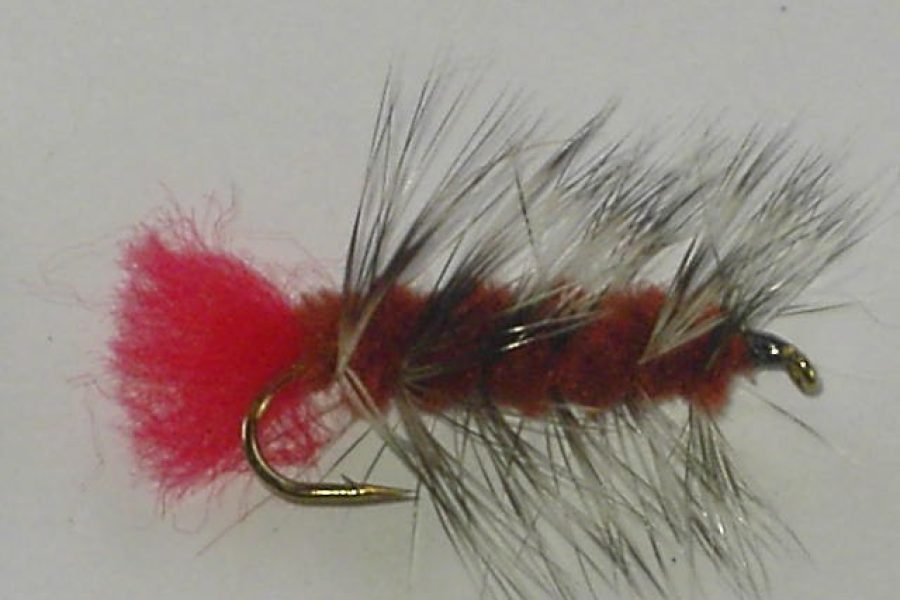 Woolly Worm Brown Fly