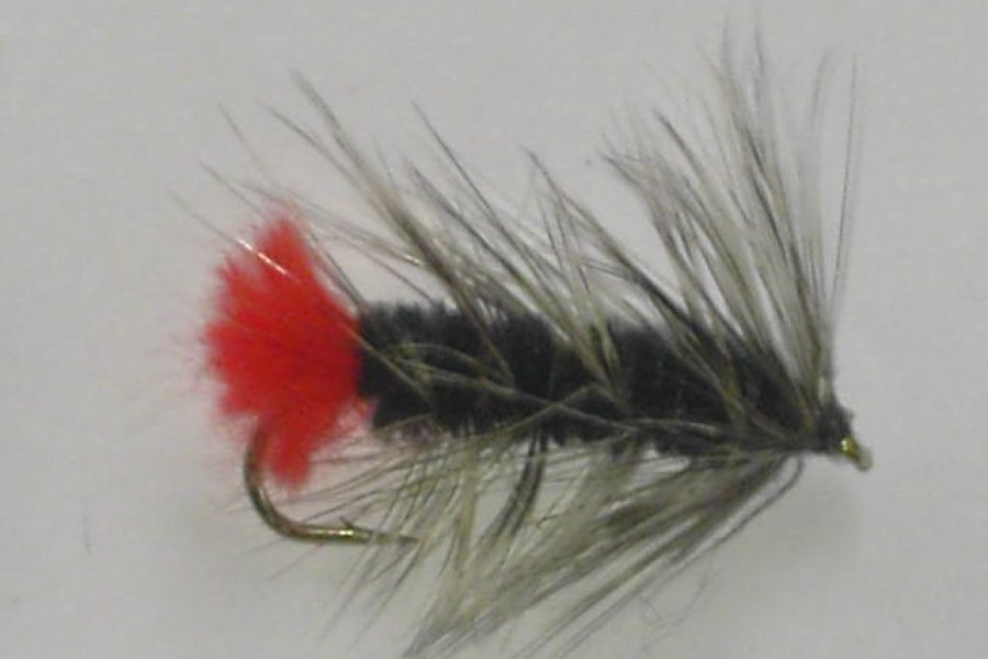 Black Woolly Worm Streamer Fly