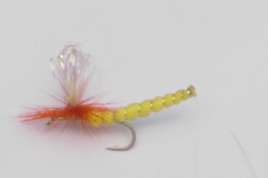 Orange stone fishing fly