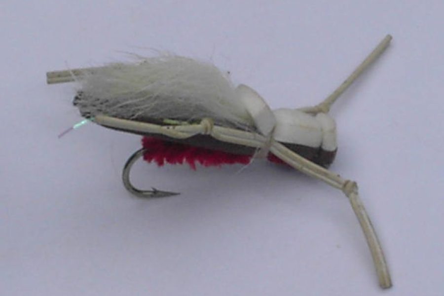 Super model red fishing fly