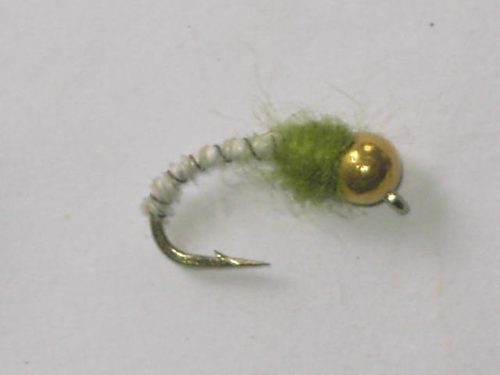 Tungsten biot nymph white