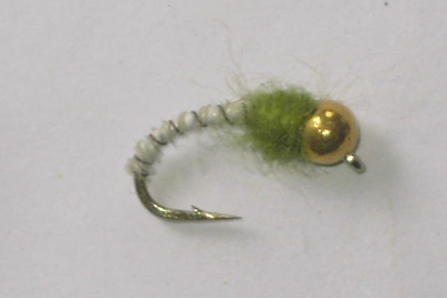 Tungsten biot nymph white