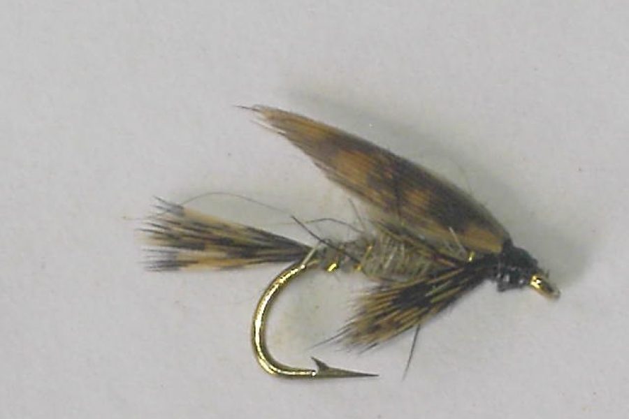 March brown wet fly