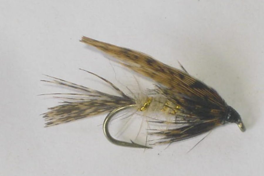 march brown wet fly long shank