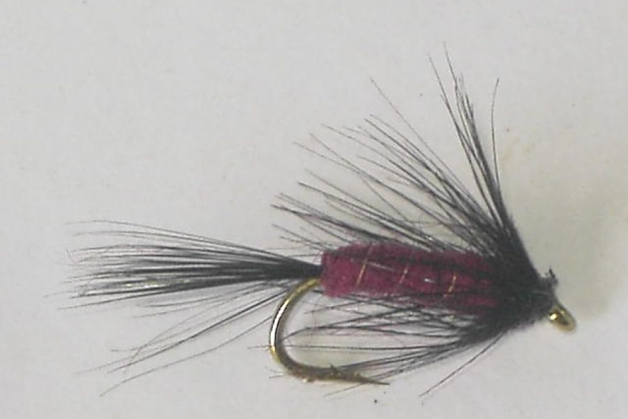 Maroon spider wet fly