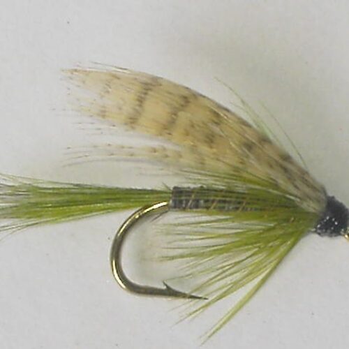 Olive quill wet fly