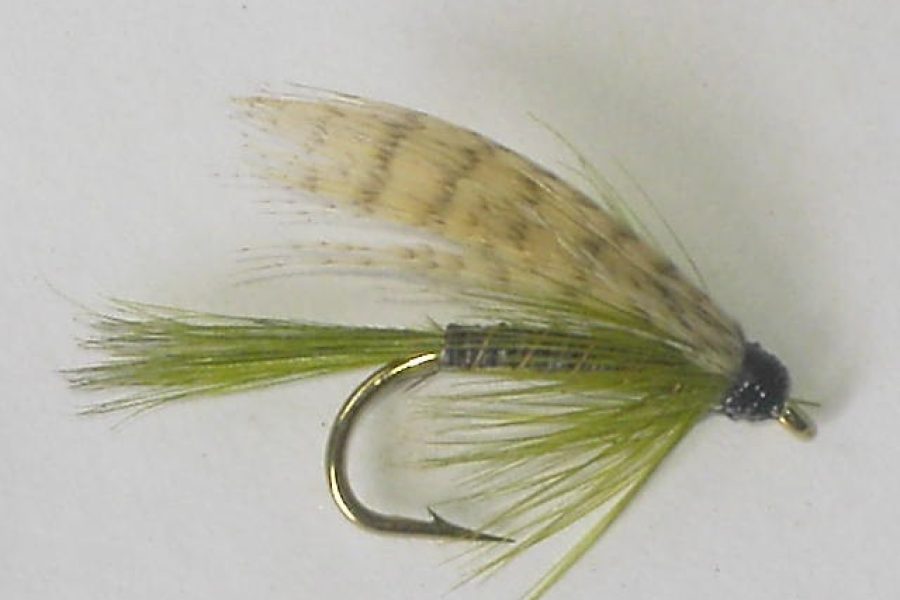 Olive quill wet fly