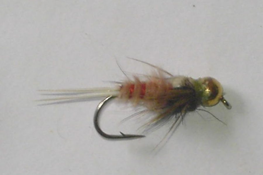 tungsten brown nelia fly