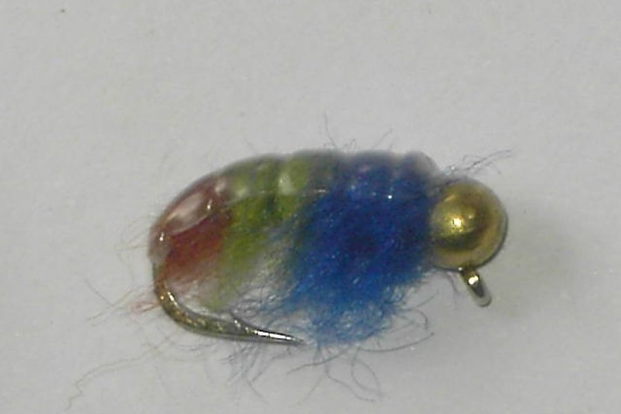 Tungsten cassed caddis Czech fly