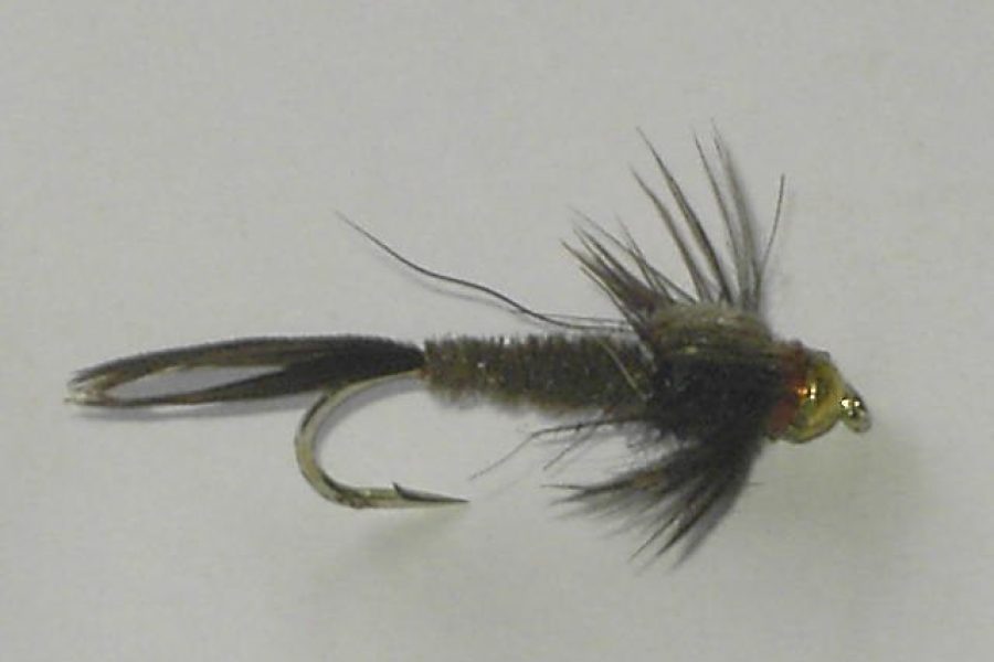 Tugsten dark day fly