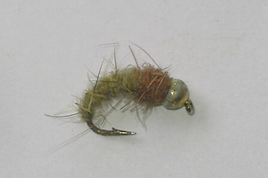 Tungsten Electric Caddis Fly