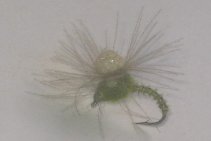 Griffith’s Gnat Handcrafted Dry Fly