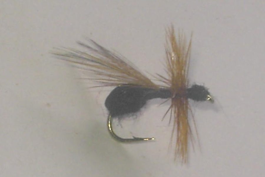 Flying Black Ant Dry Fly