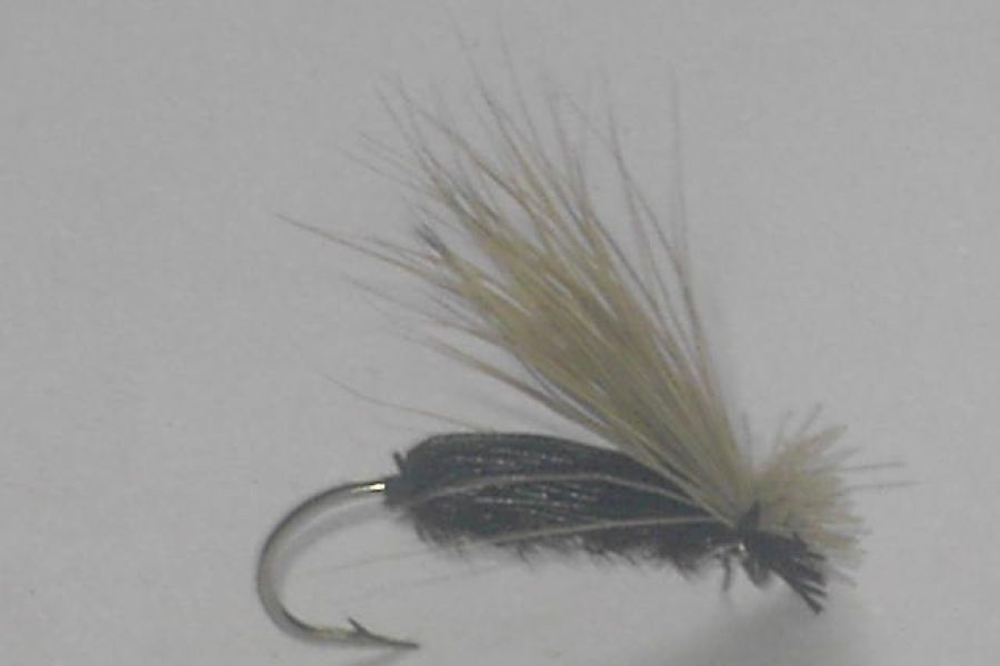 Black beetle dry fly