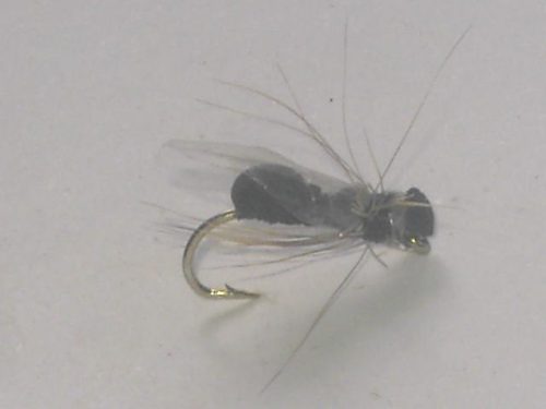 Formica Volante dry fly