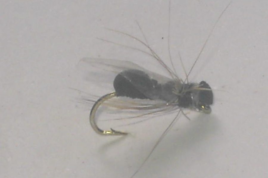 Formica volante dry fly