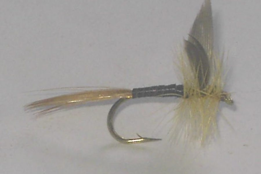 Ginger quill dry fly