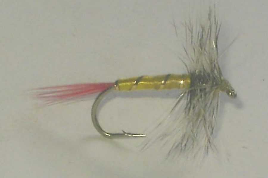 Gray hackle yellow dry fly